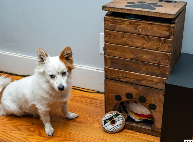 Every pet owner wants the best for their furry companions and finding the right products can make all the difference in your dog's happiness and well-being. When you're searching for premium pet accessories, one brand consistently stands out for creating thoughtfully designed items that combine functionality with style. Whether you're a new pet parent or an experienced dog enthusiast, discovering the top-rated selections in this category can elevate your daily pet care routine and strengthen your bond with your beloved companion. The quality of gear you invest in sends a message to your dog about how much you value their comfort and safety.